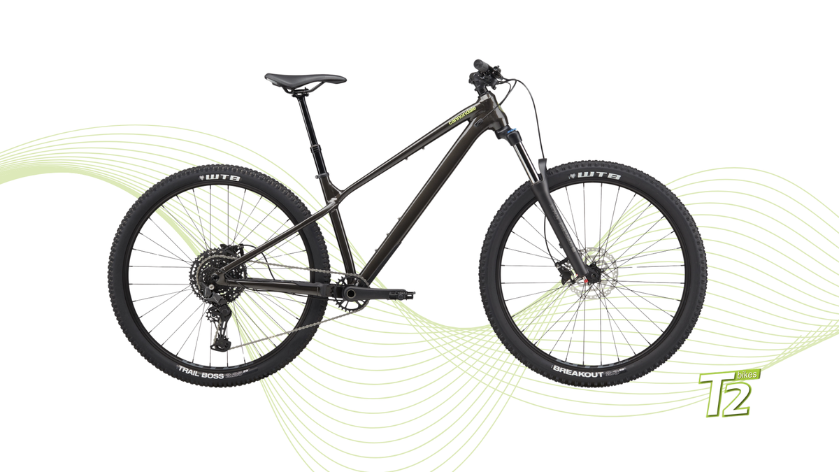 Bicicleta de Montaña Trail Cannondale - Habit HT 2 Obsidian