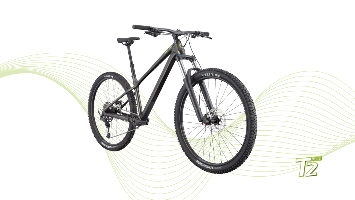 Bicicleta de Montaña Trail Cannondale - Habit HT 2 Obsidian